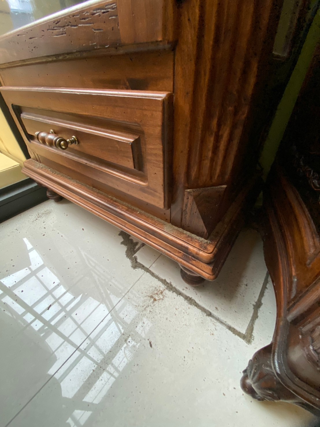 20250301白蟻防治的第3張圖片